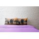 Cushion pillow Cover | Fabric Change Option | Polyester, Velvet Fabric |Dual side Printed