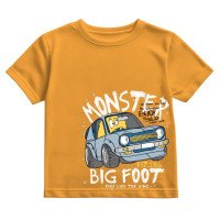 Kids Pure Cotton Bio wash T-shirt - style no C3