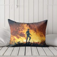 Cushion pillow Cover | Fabric Change Option | Polyester, Velvet Fabric |Dual side Printed